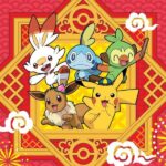 Chinese Pokémon kaarten kopen bij Dracoon